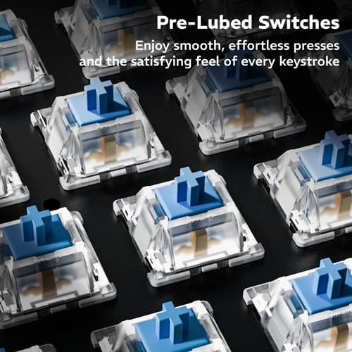 Dawg HighKEY 685 RGB Mechanical Gaming Keyboard with Blue Glacier Switches